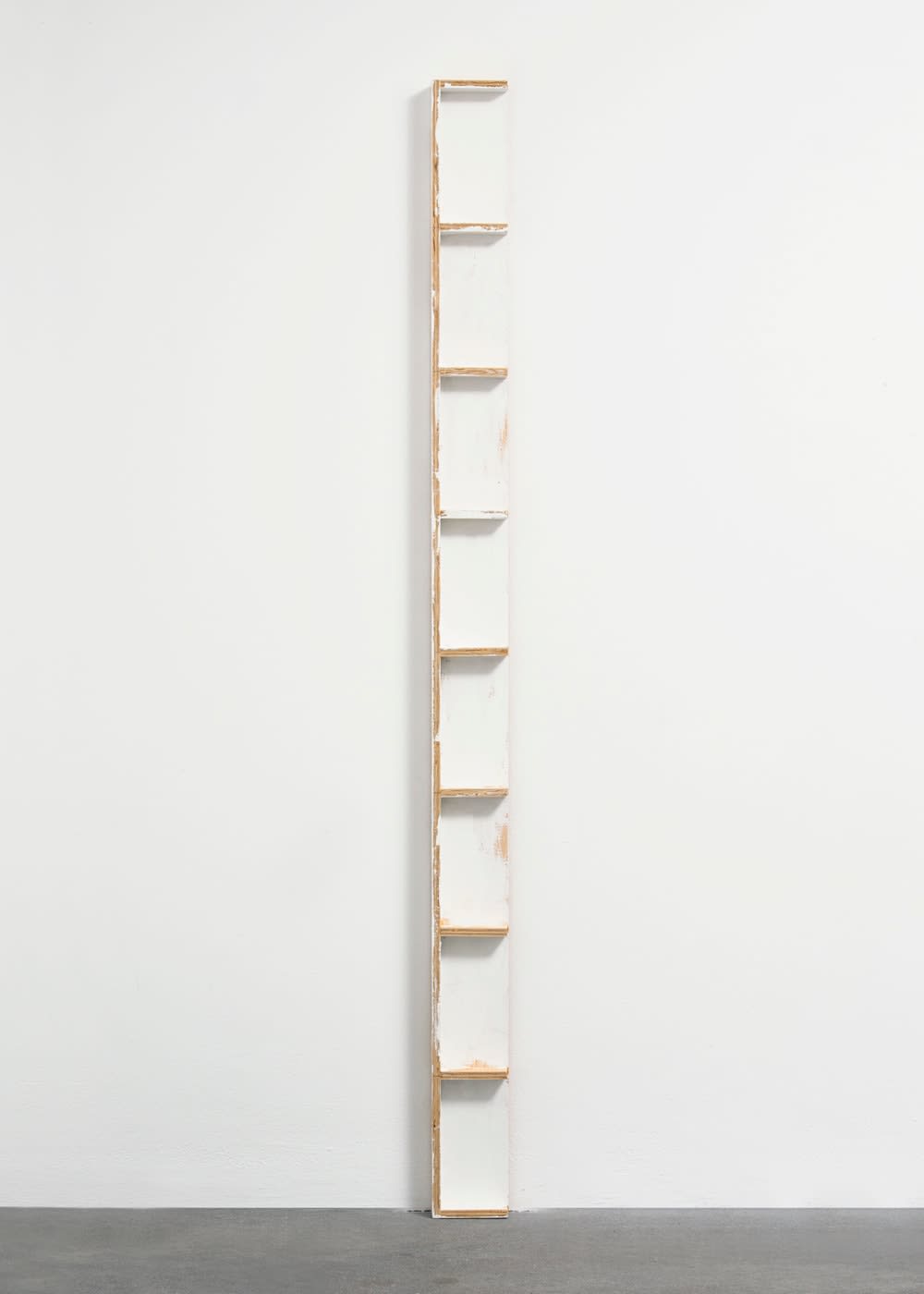 Fernanda Gomes, Untitled, 2013