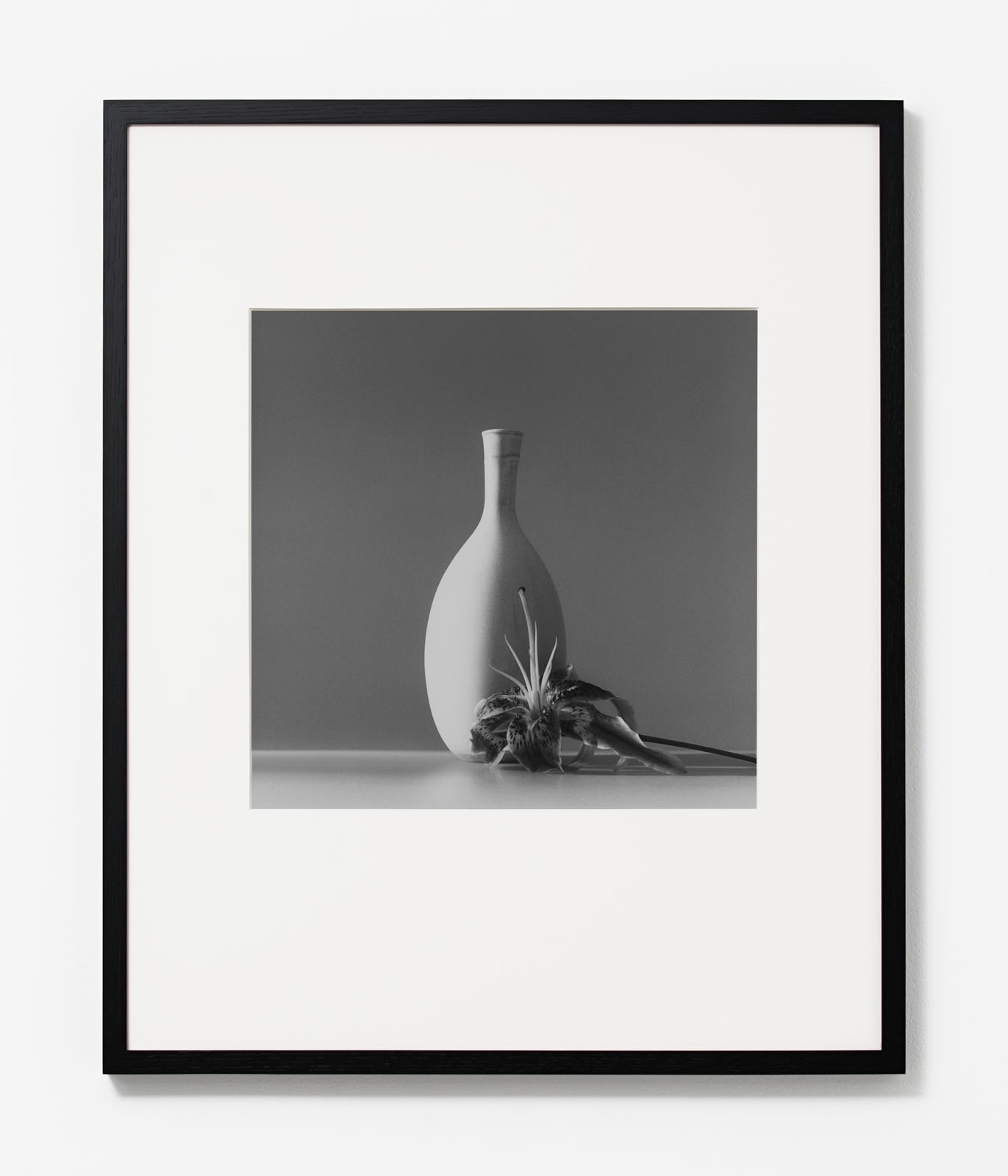 Robert Mapplethorpe, Flower, 1985