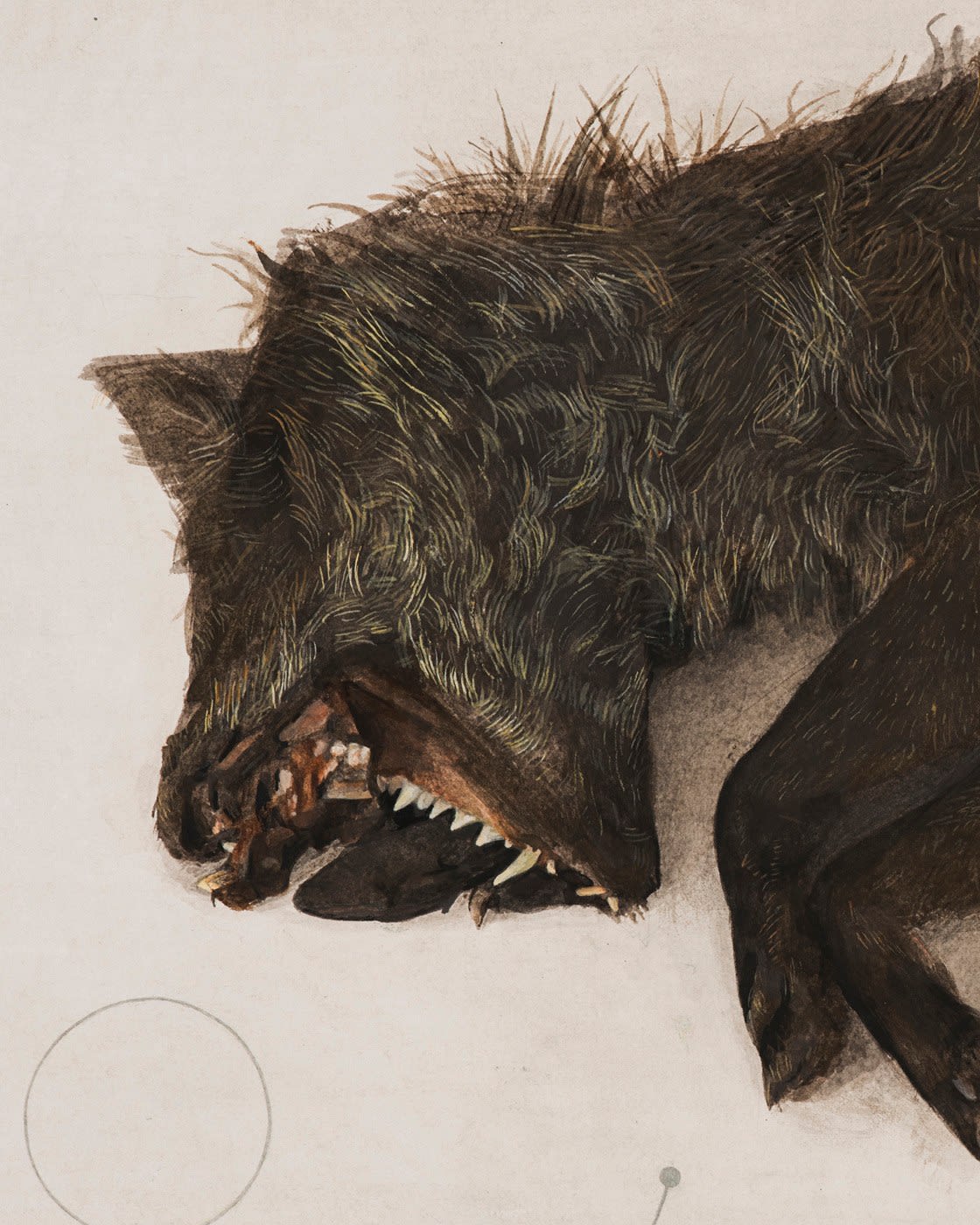 Graham Little, Untitled (Fox), 2017