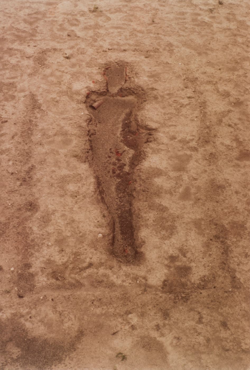 Ana Mendieta, Untitled (Silueta in Iowa), c. 1976-77