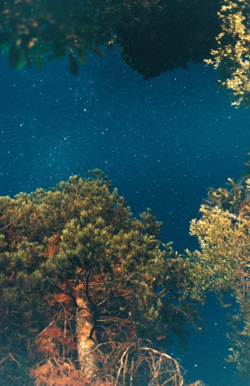 Ryan McGinley, Night Sky (Pine), 2010