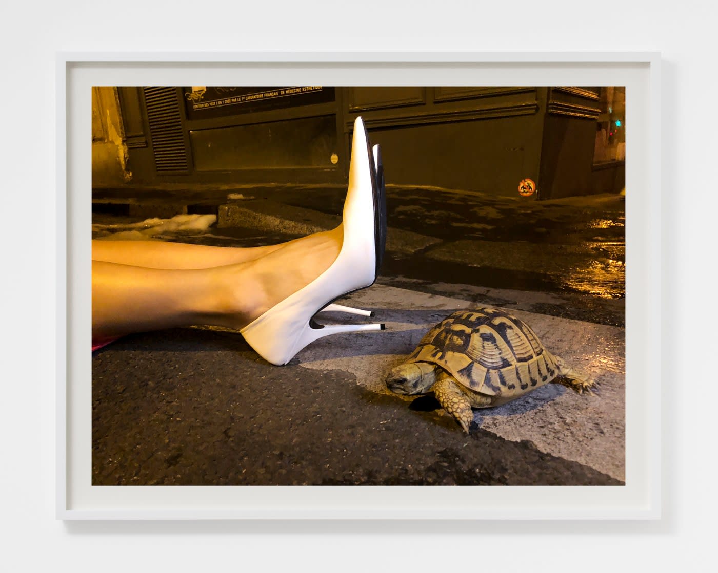 Juergen Teller, White shoes and tortoise, Paris, 2018