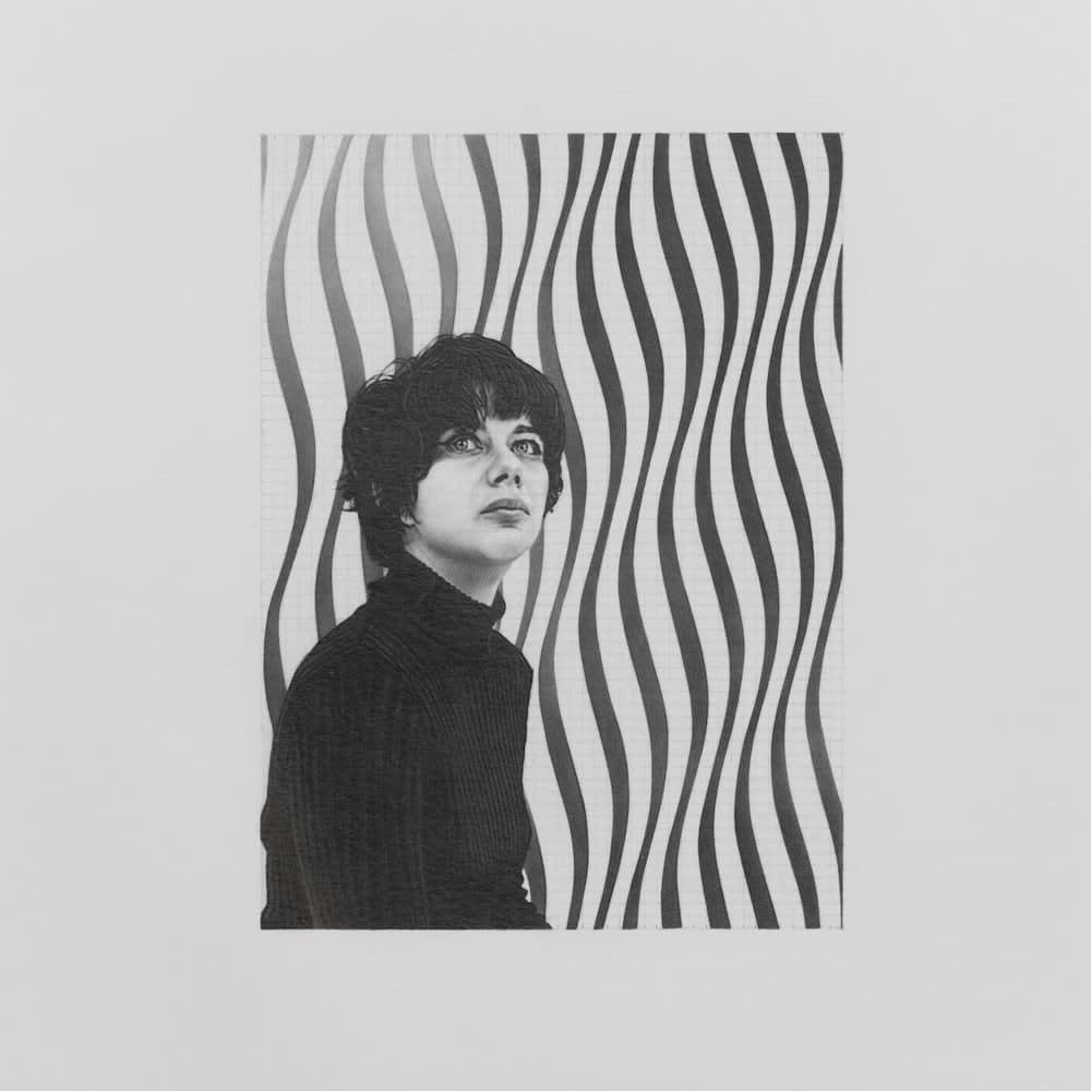 Dan Fischer, Bridget Riley, 2011
