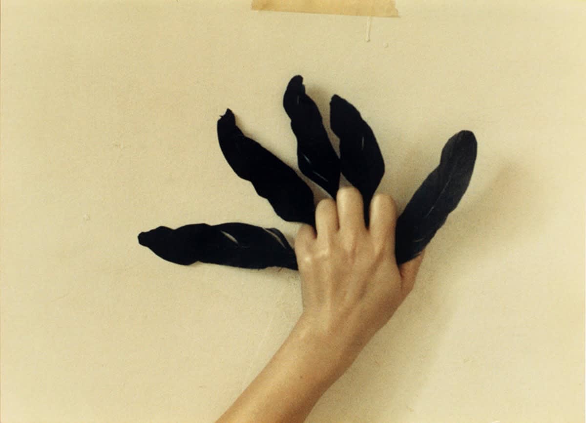 Birgit Jürgenssen, Untitled, 1988