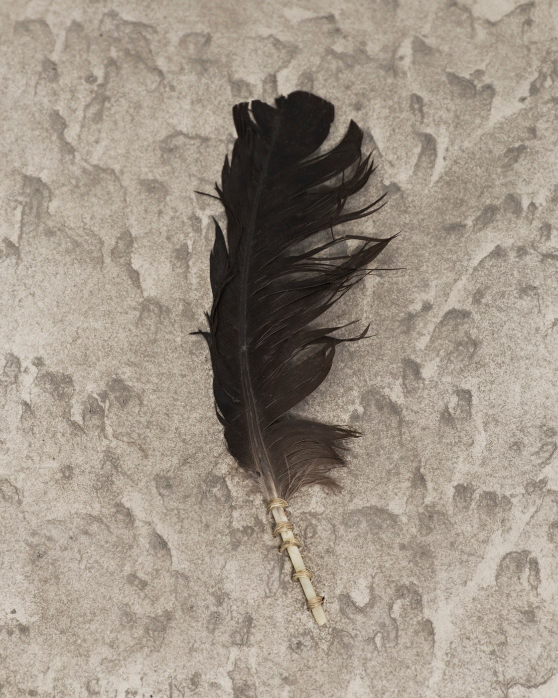 Michelle Stuart, Wind Book: Tikal, 1978