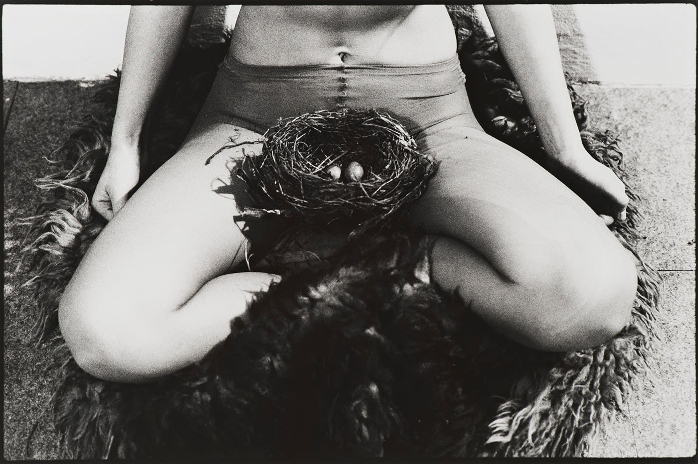 Birgit Jürgenssen, Nest, 1979/2002