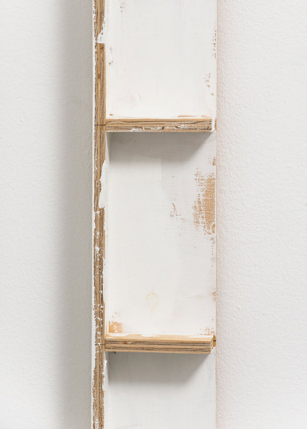 Fernanda Gomes, Untitled, 2013