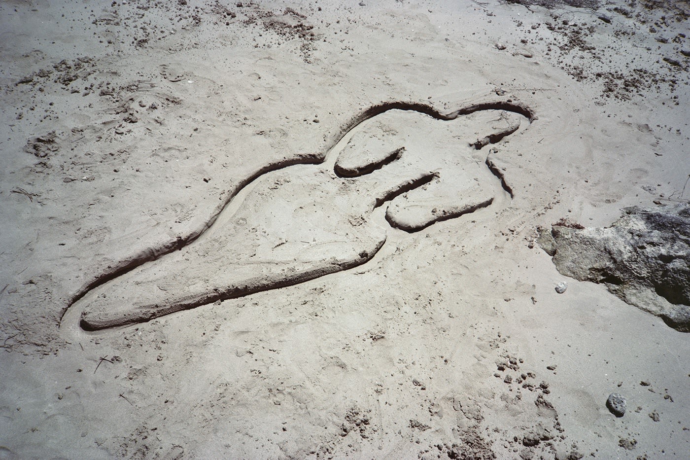 Ana Mendieta, Untitled, 1981