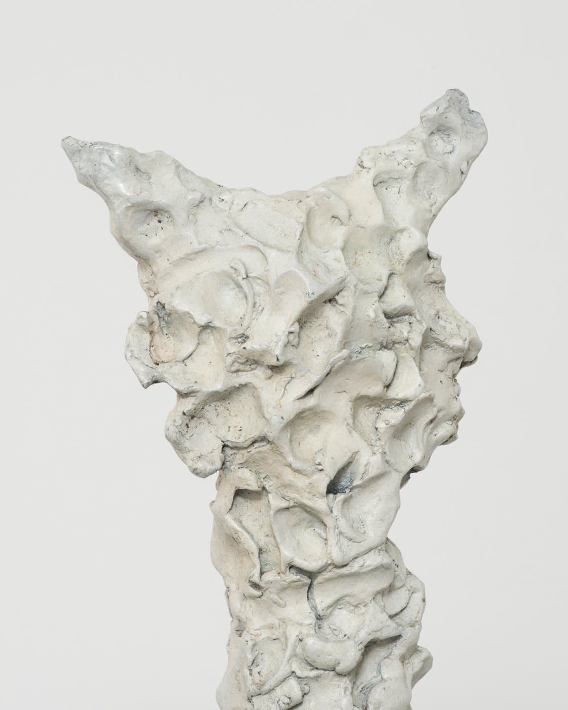 Erika Verzutti, Cat, 2017