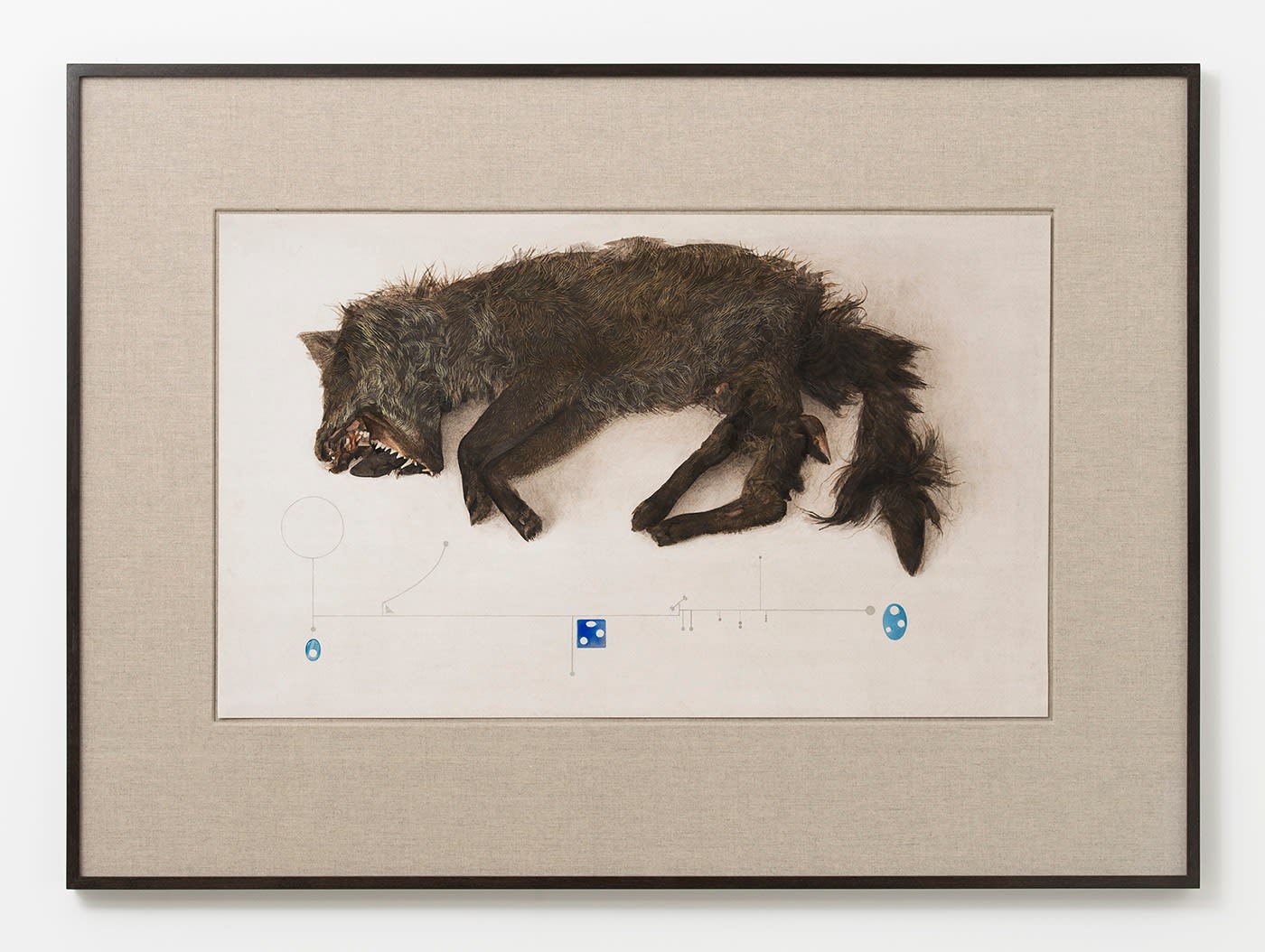 Graham Little, Untitled (Fox), 2017