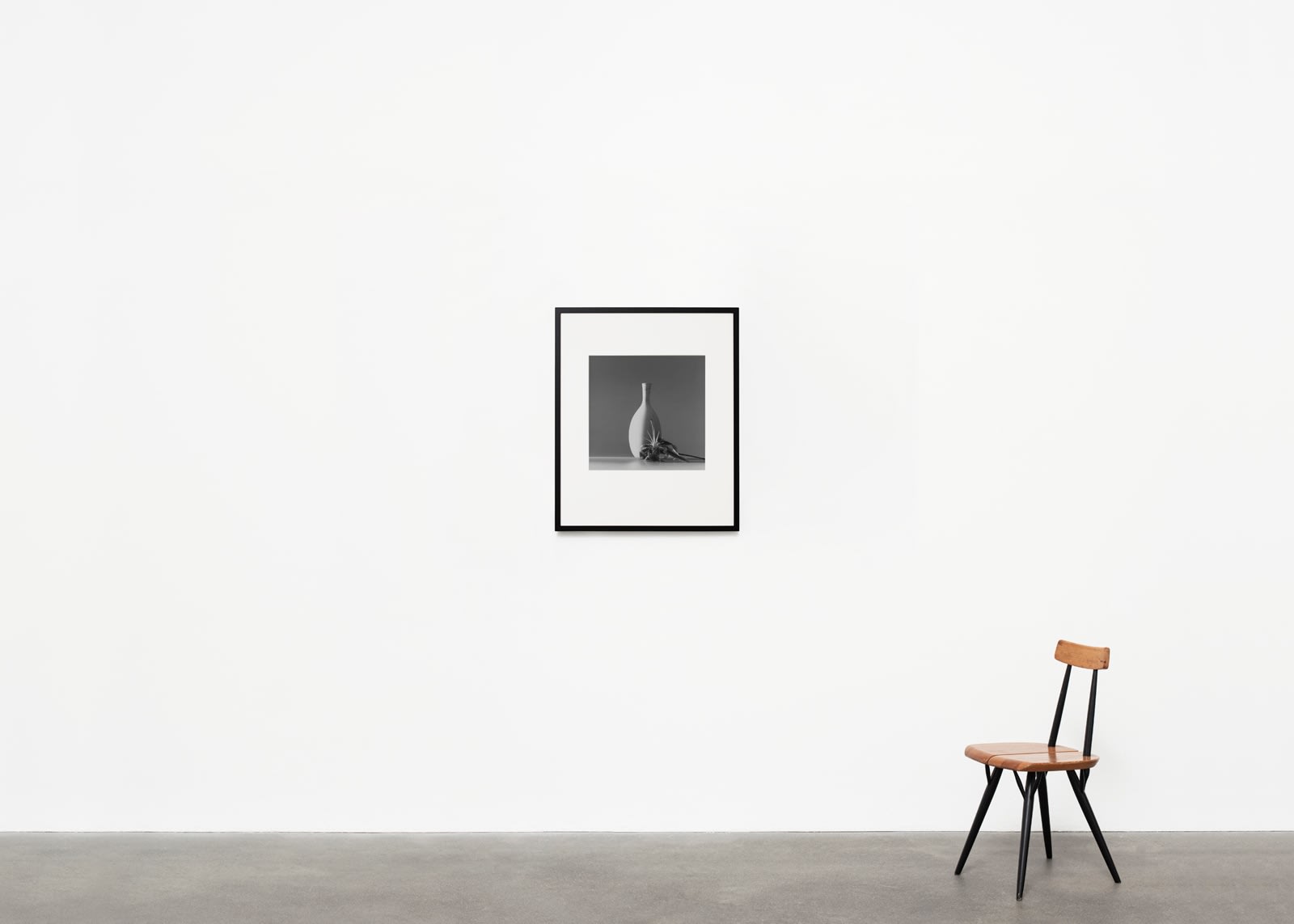 Robert Mapplethorpe, Flower, 1985