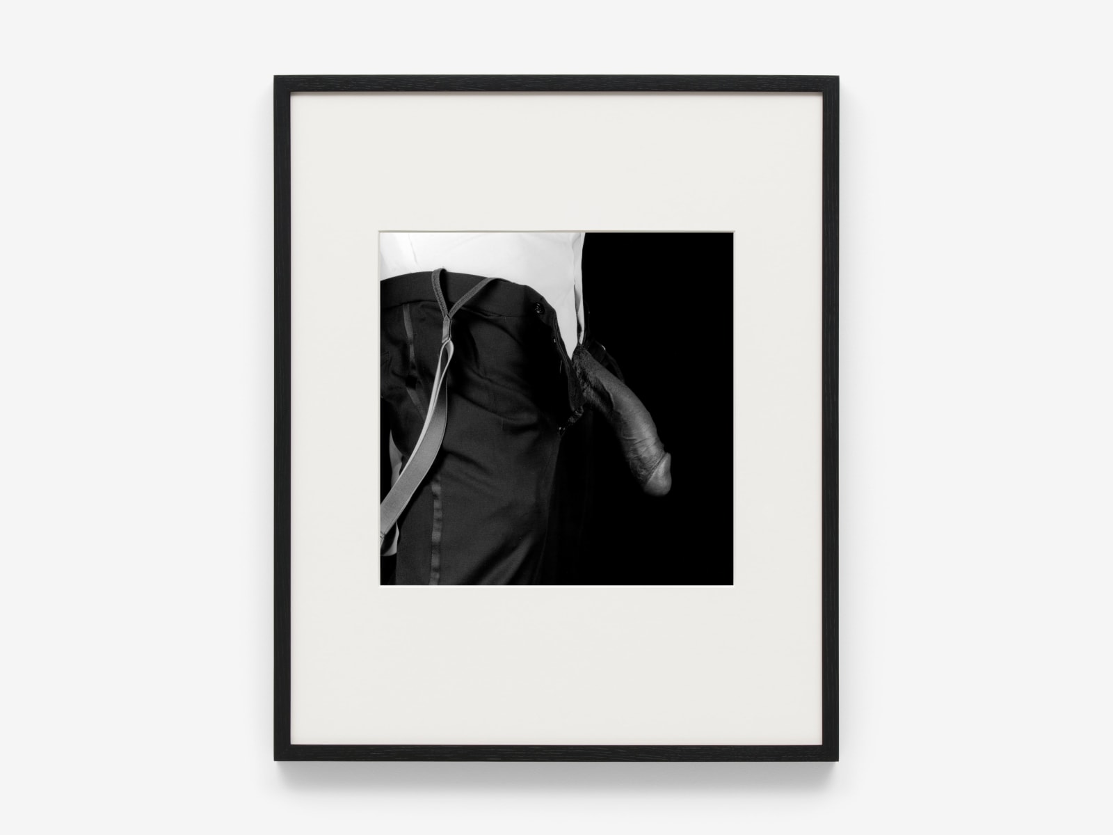 Robert Mapplethorpe, Cock, 1986