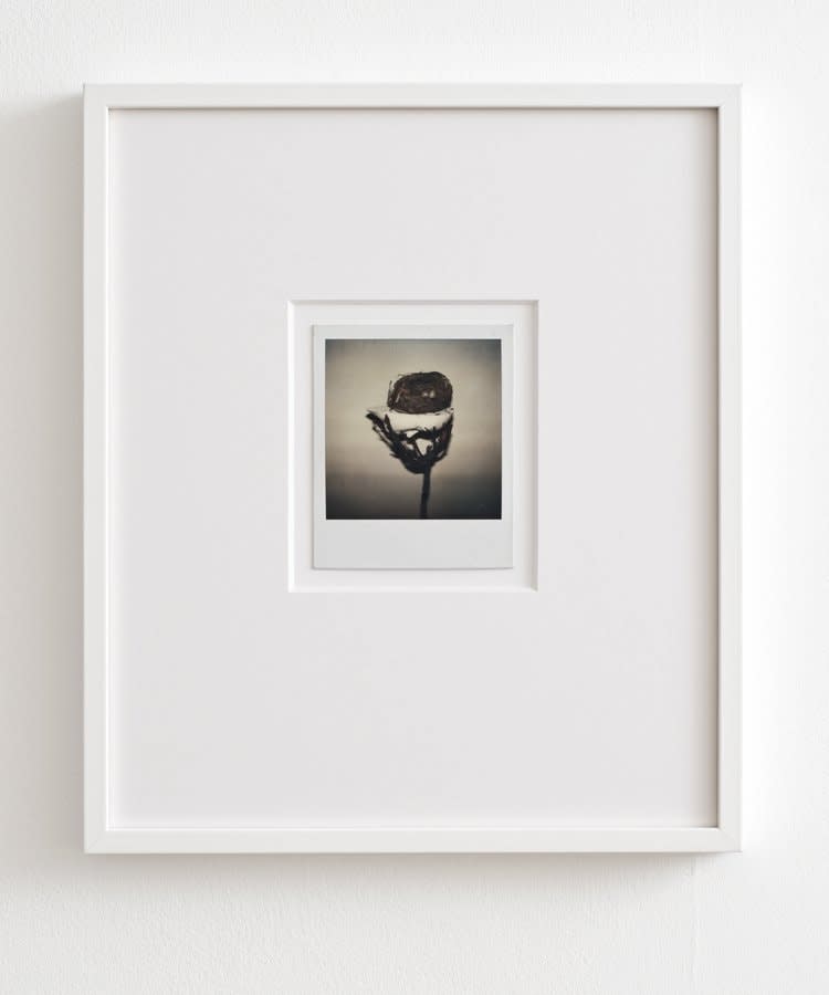 Birgit Jürgenssen, Untitled, 1978