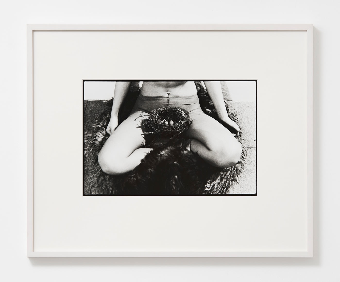 Birgit Jürgenssen, Nest, 1979/2002