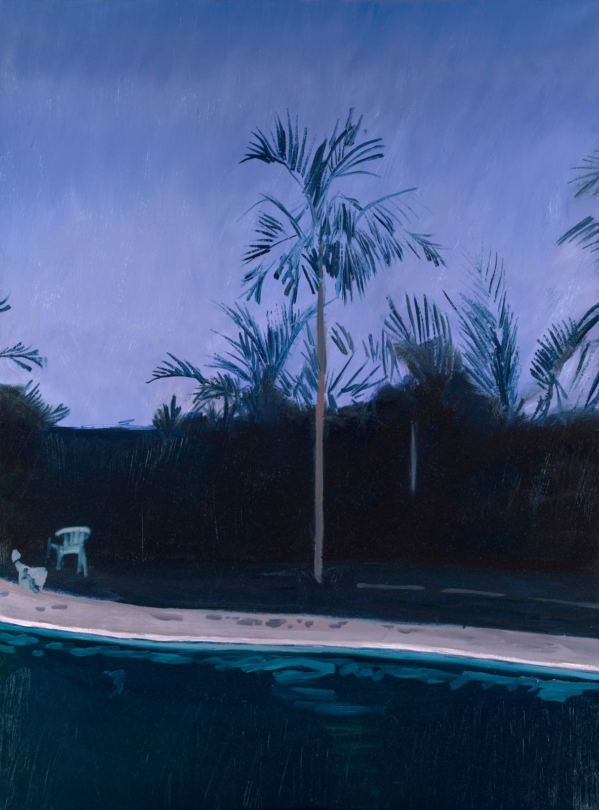Alessandro Raho, Susan and Roy's pool, Nassau, 2008