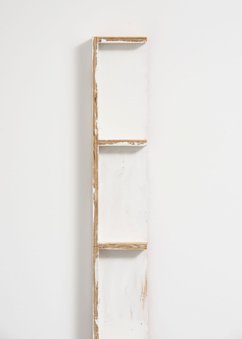 Fernanda Gomes, Untitled, 2013