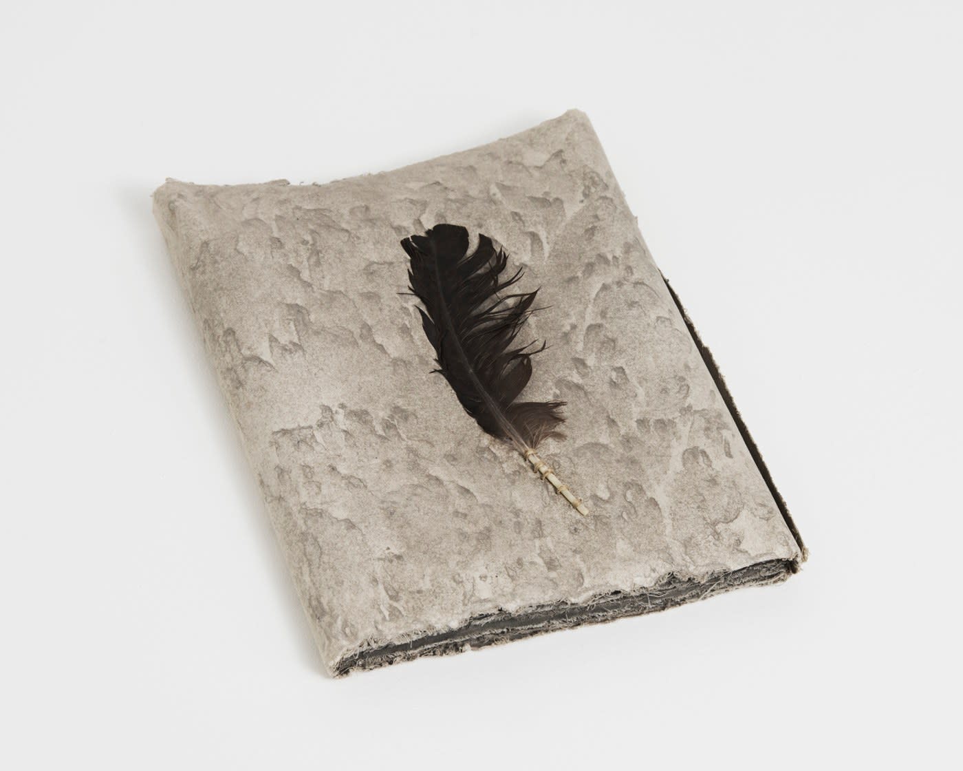 Michelle Stuart, Wind Book: Tikal, 1978