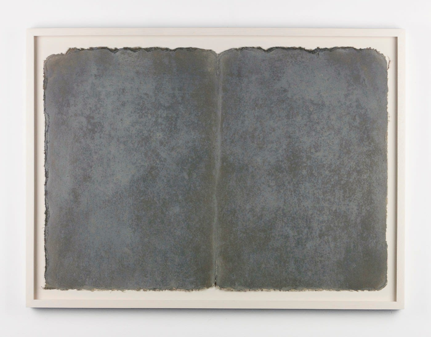 Michelle Stuart, Ledger Series: Campeche, 1979-1980