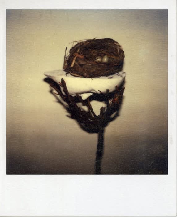 Birgit Jürgenssen, Untitled, 1978