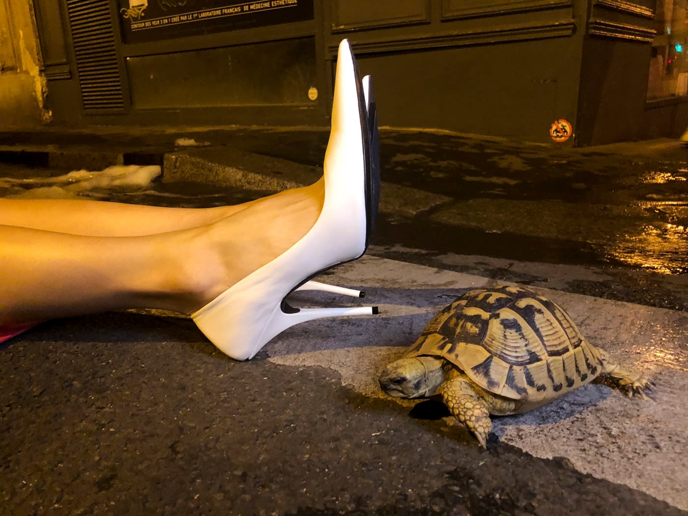 Juergen Teller, White shoes and tortoise, Paris, 2018