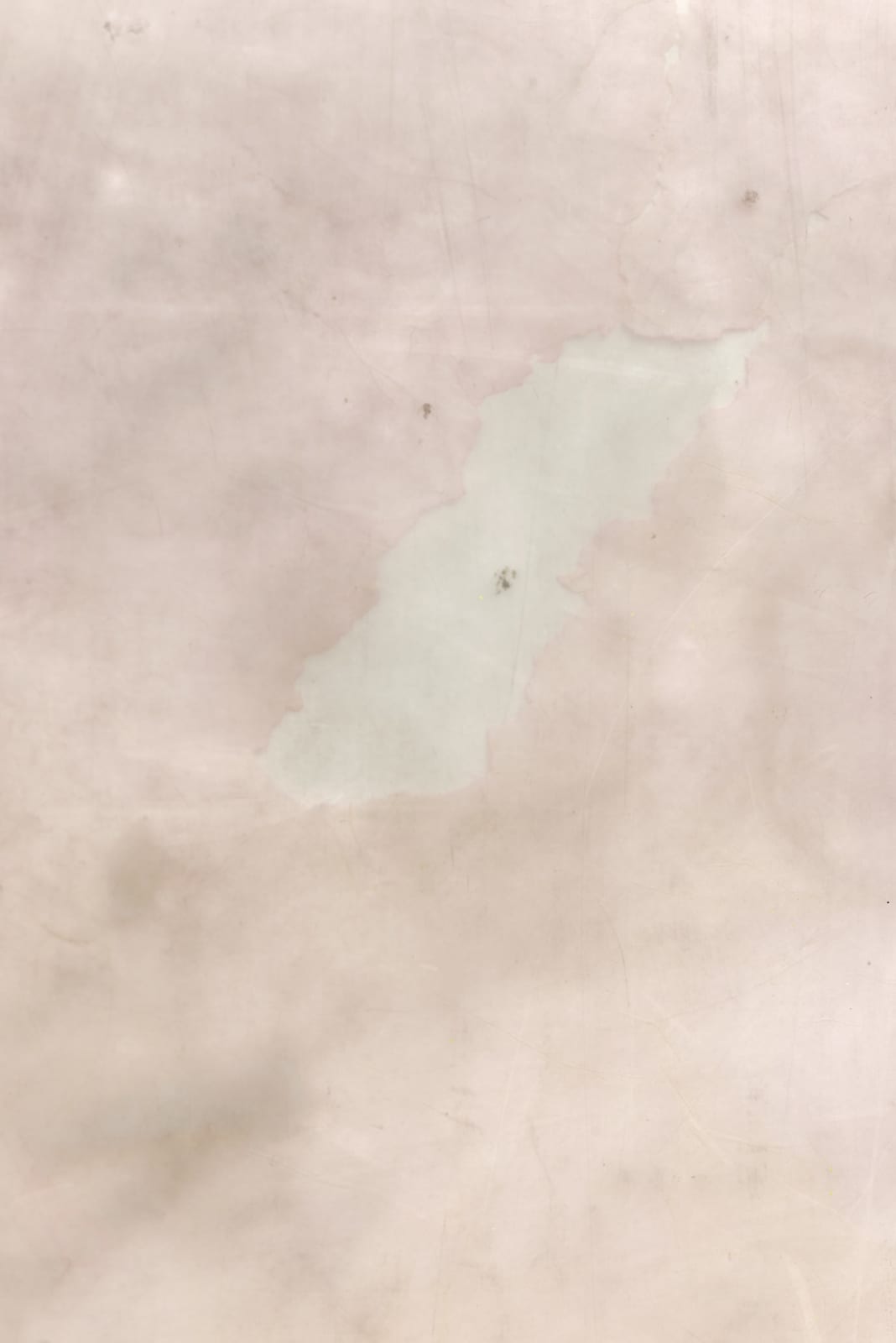 Ian Kiaer, Endnote, tooth (panoramico, pink), 2017