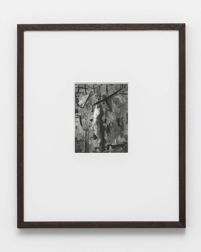 Saul Fletcher, Untitled #254 (fish), 2012