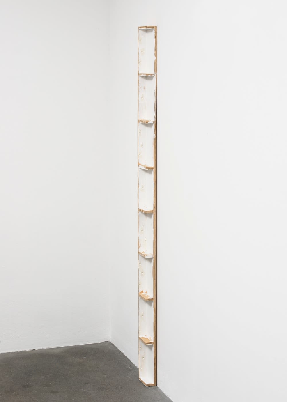 Fernanda Gomes, Untitled, 2013