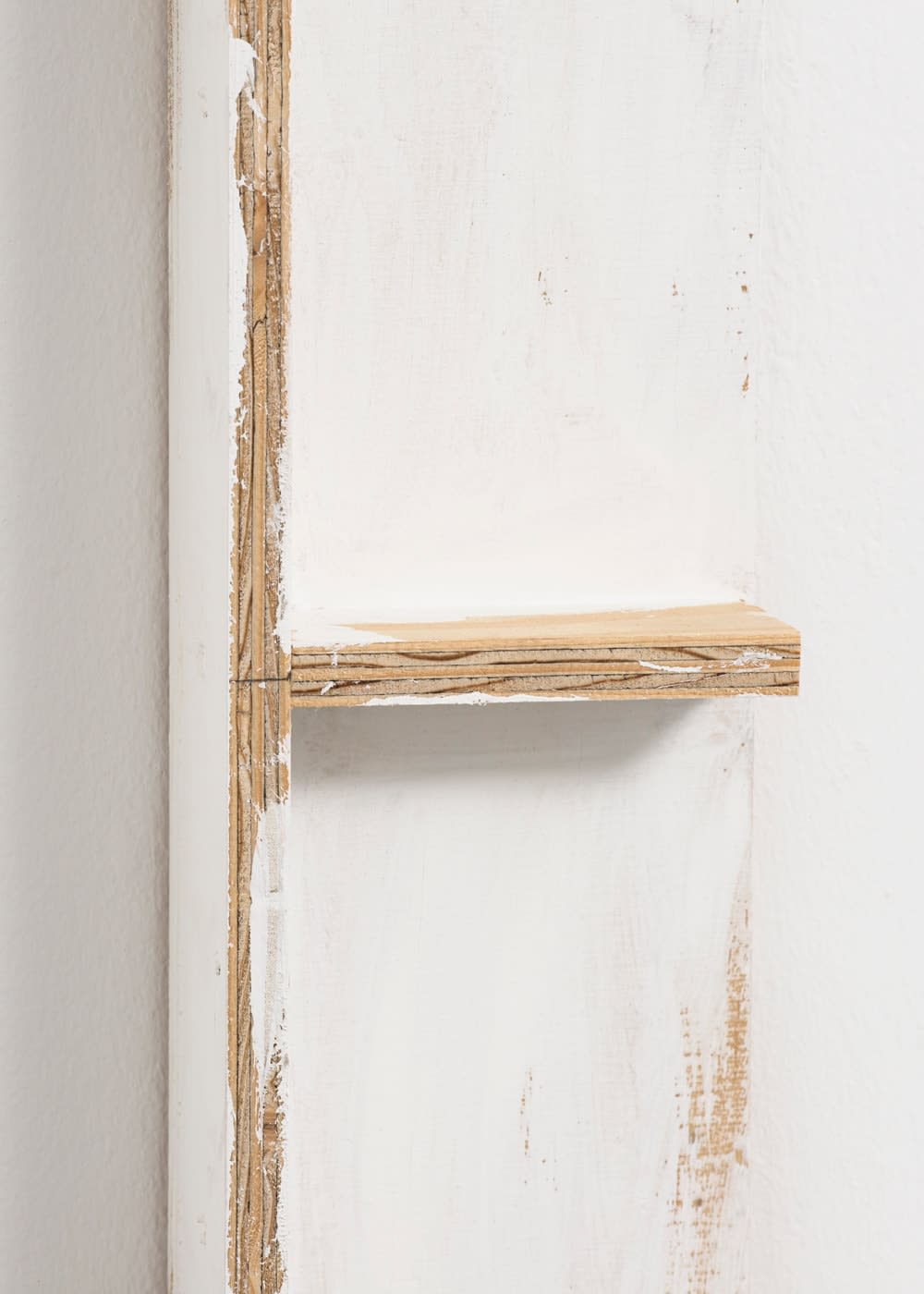 Fernanda Gomes, Untitled, 2013
