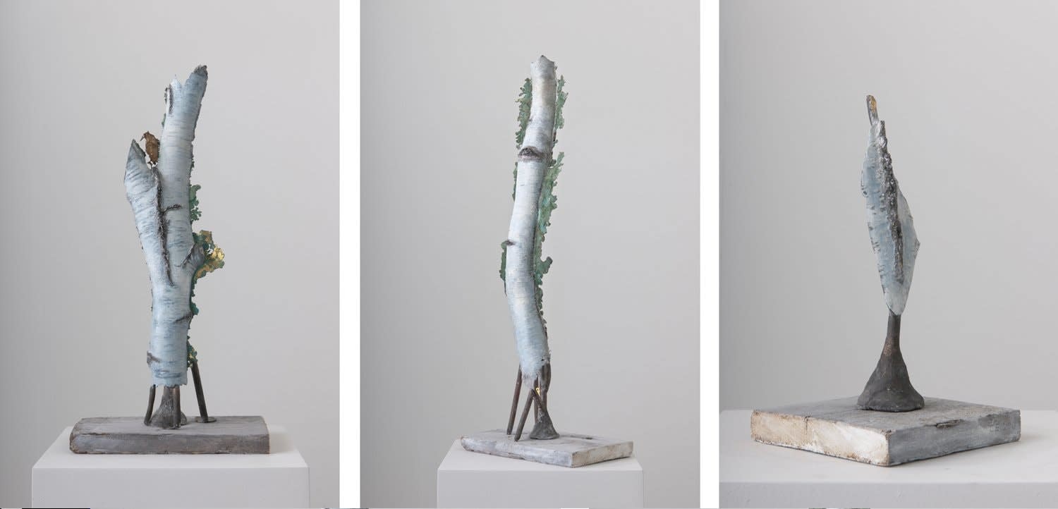 Cecilia Edefalk, Birch, 2011