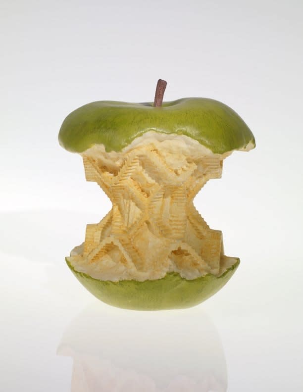 Matt Johnson, Malus Sieversii, 2008