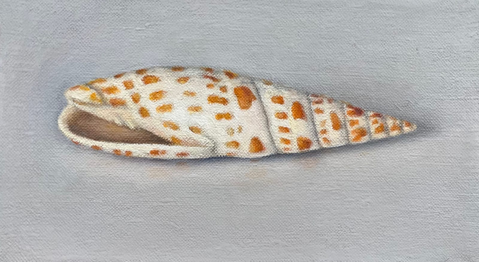David Stubbs, Orange and white cone, study