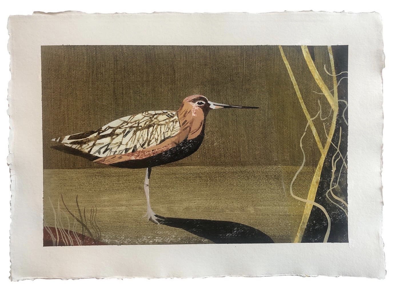 John Harmer, Bar-Tailed Godwit