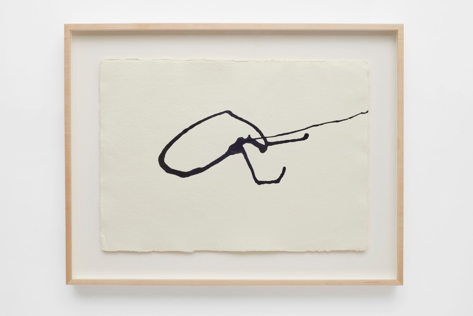 Joan Jonas, Small Ice Drawing, 2016