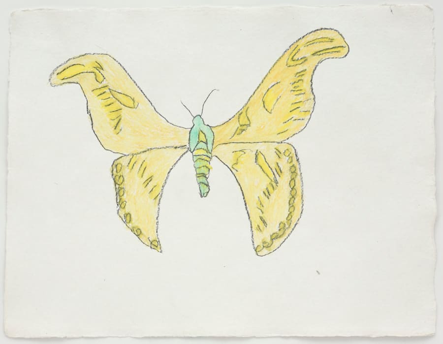 Joan Jonas, Untitled, 2006