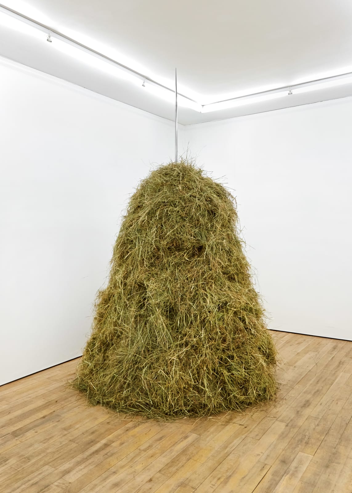 Dorota Gawęda and Eglė Kulbokaitė, Hexanol III, 2019