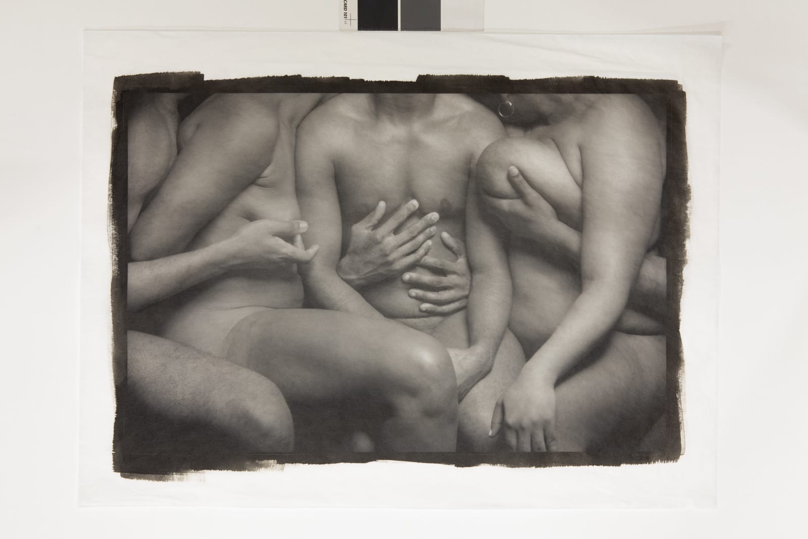 Ajamu X, A Senual Chorus of Gestures VI, 2024