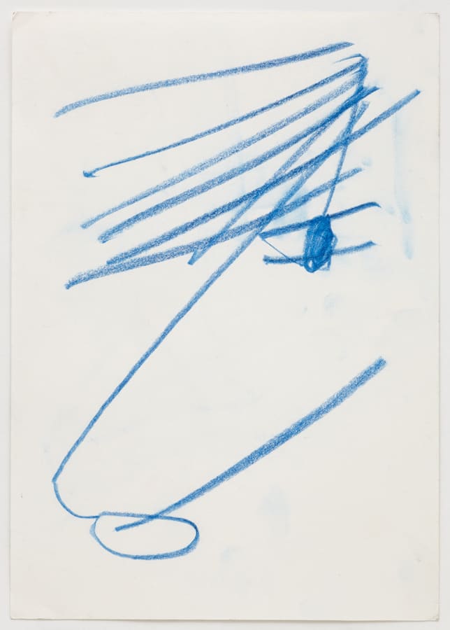 Joan Jonas, Icelandic Pony, 1987