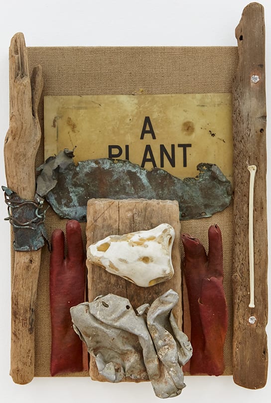 Derek Jarman, A PLANT, 1988