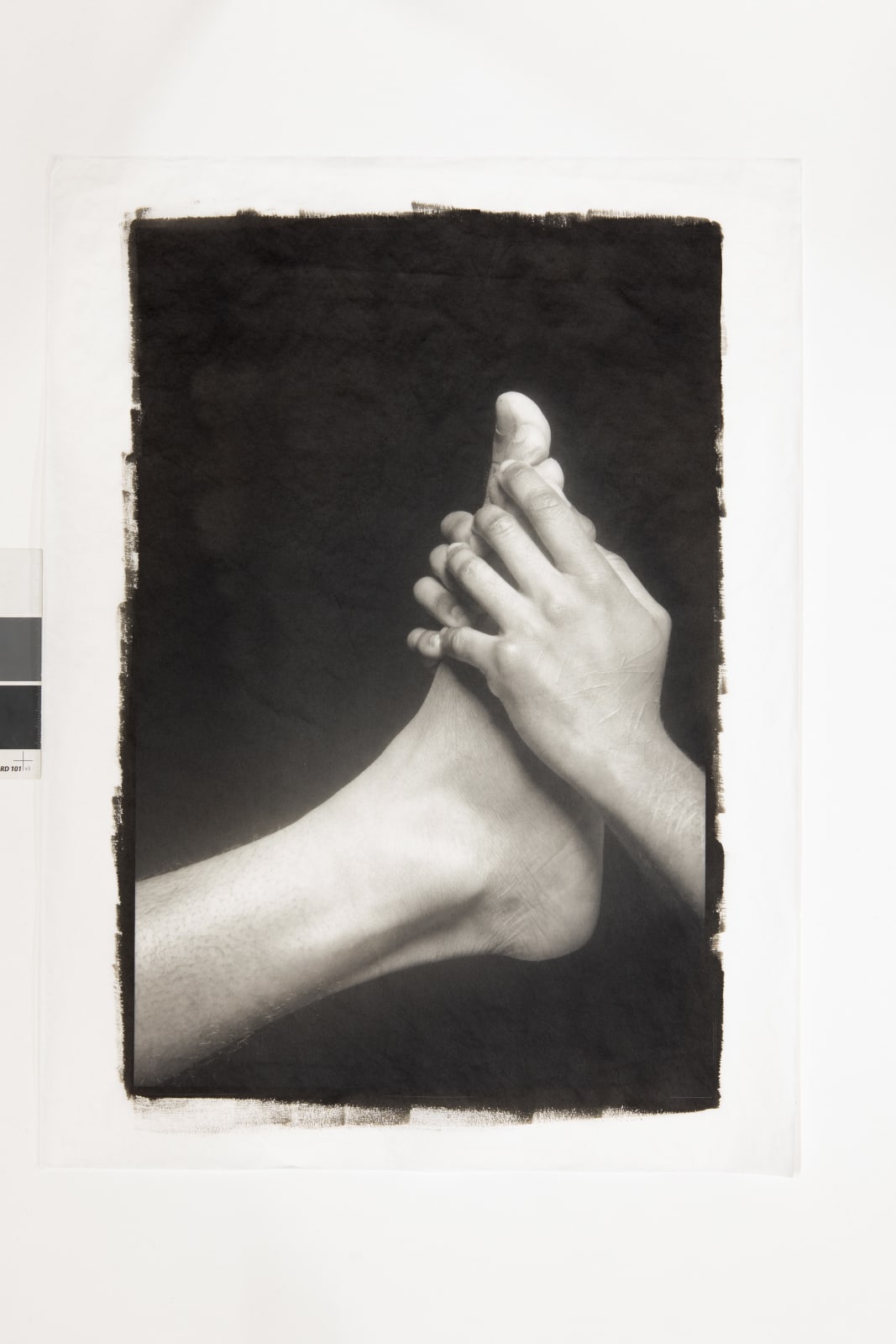 Ajamu X, A Sensual Chorus of Gestures XII, 2024