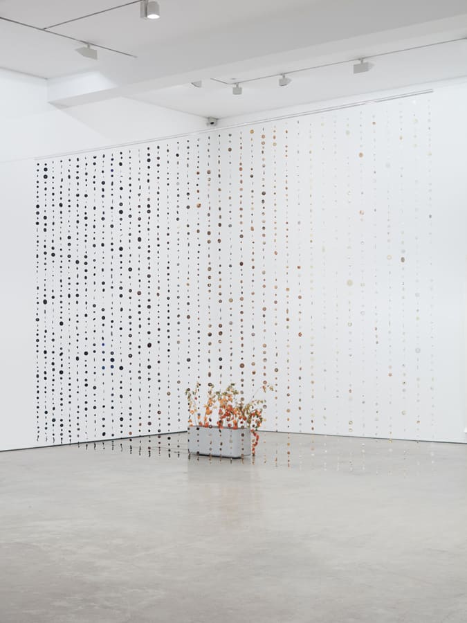 Silke Schatz, Überblick (Overview), 2013