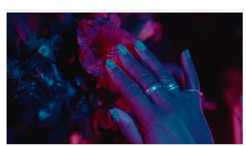 Gaëlle Choisne, Creole Garden in Normandie, 2024