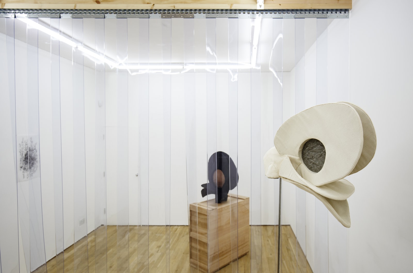 Annie Ratti, ANARGONIA, 2019