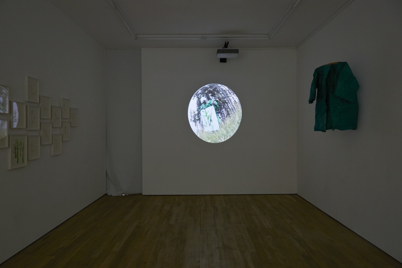 Joan Jonas, In the Trees II, 2018