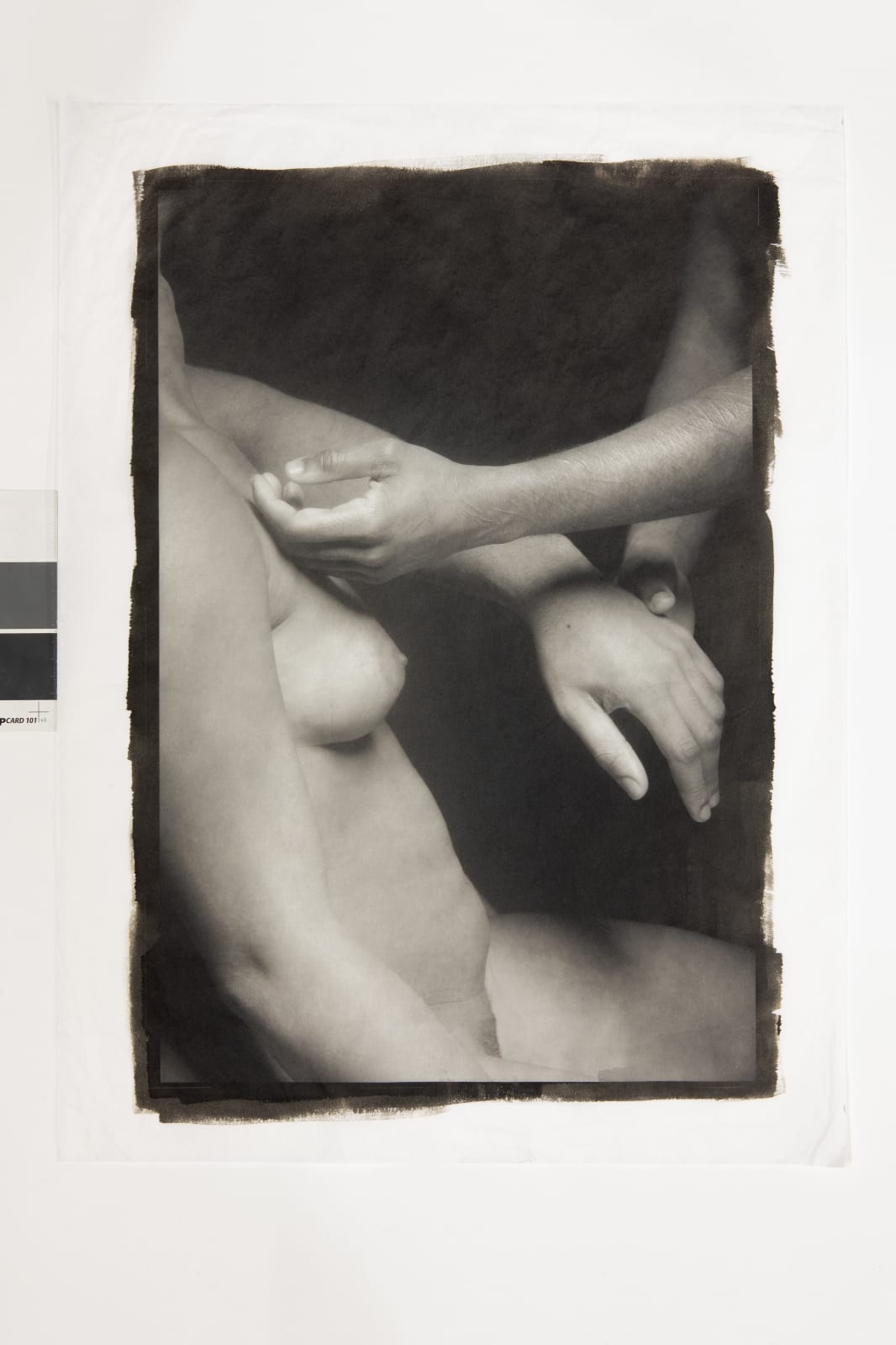 Ajamu X, A Sensual Chorus of Gestures XIV, 2024