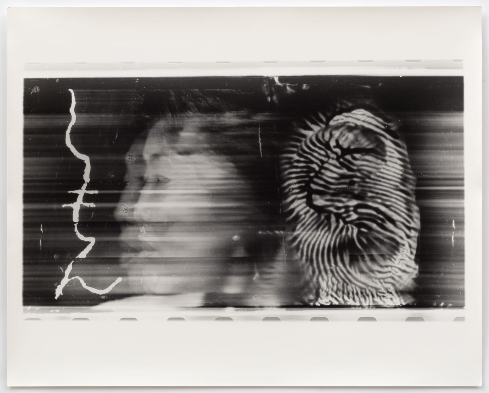 Paolo Gioli, Volto Attraverso La Propria Impronta - Fotofinish Tokyo, 1996