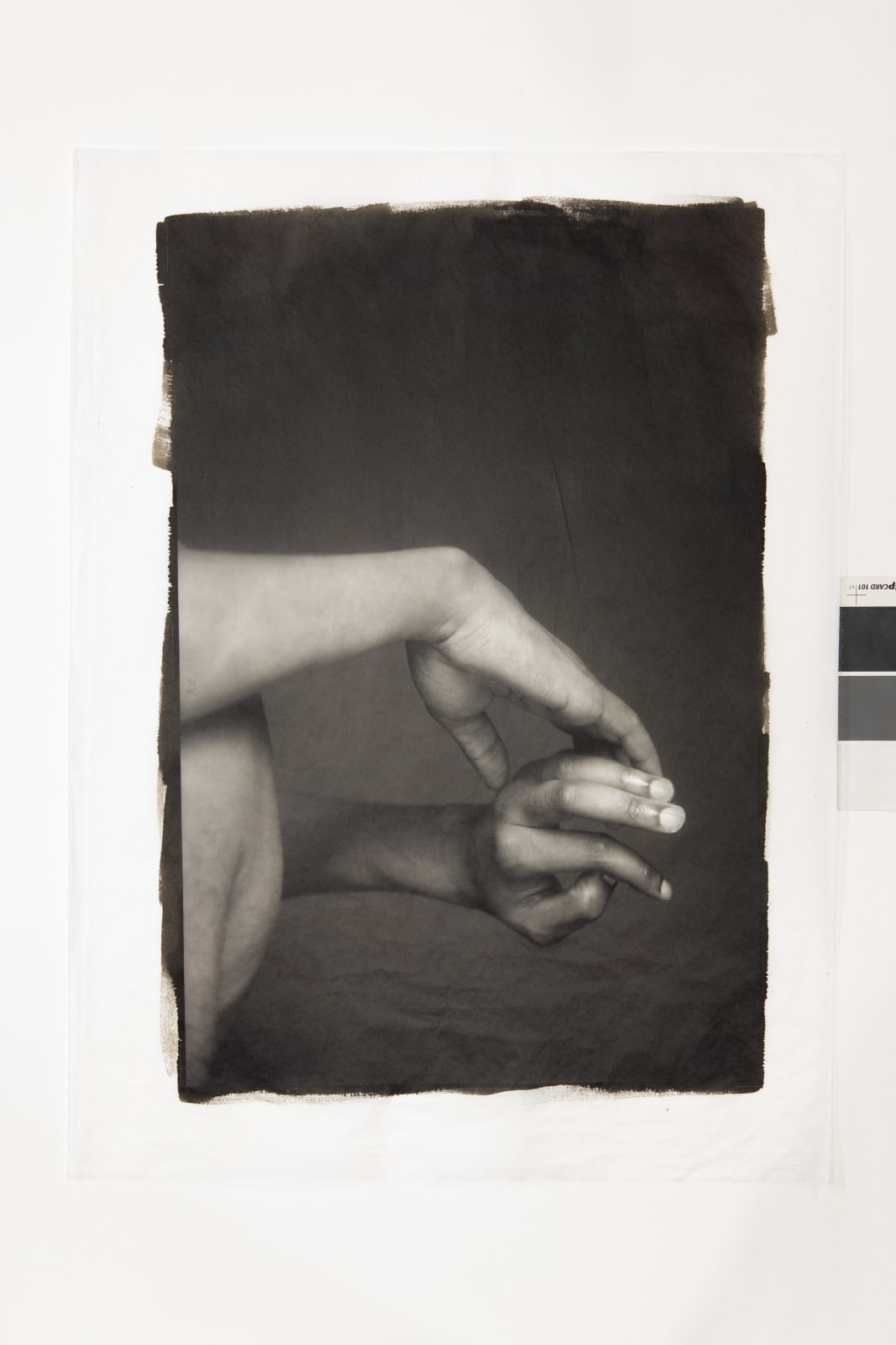 Ajamu X, A Sensual Chorus of Gestures I, 2024