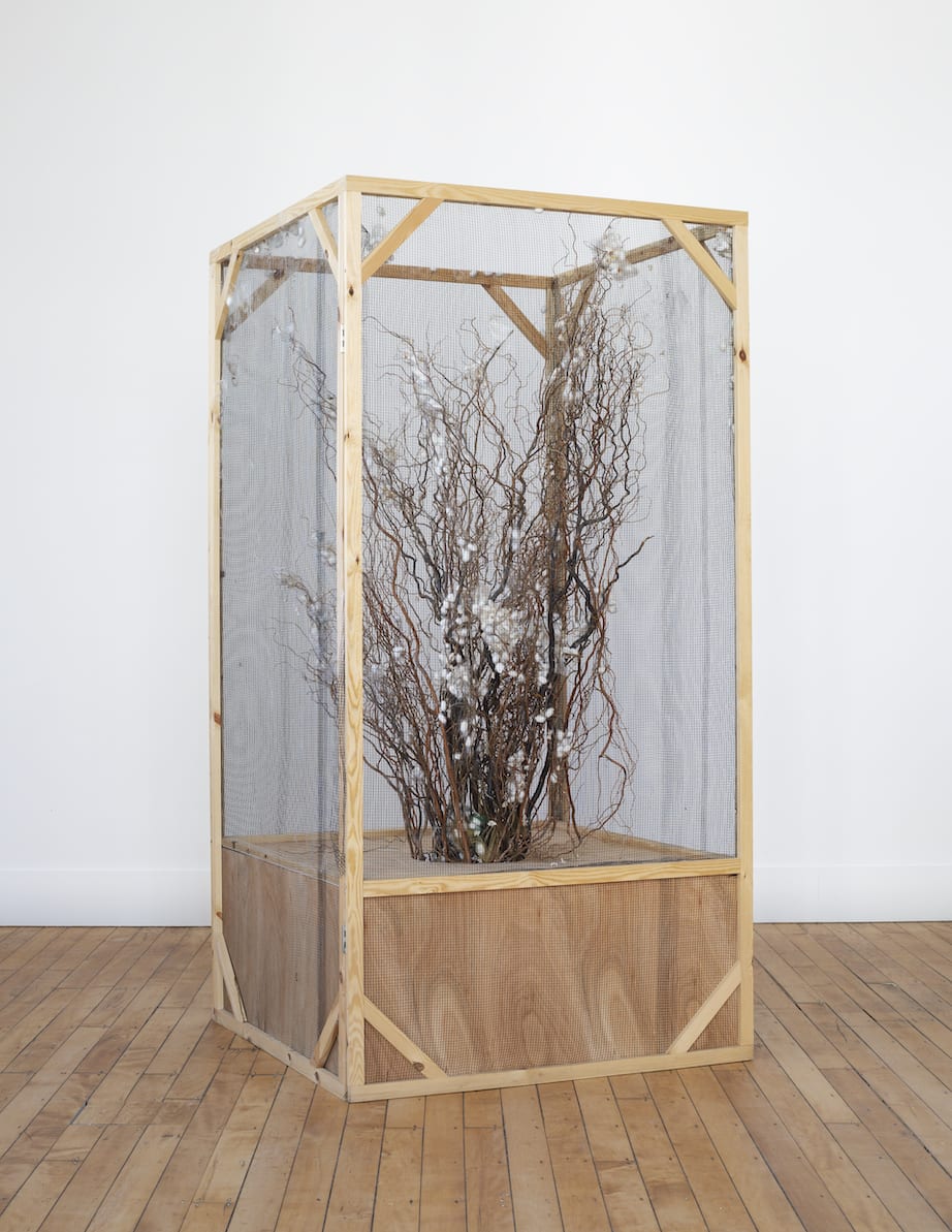 Annie Ratti, Silk moth enclosure, 2020