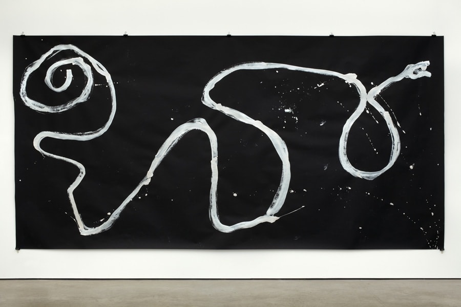 Joan Jonas, Snake Drawing I, performance, The Shape, The Scent, The Feel of Things, 2005