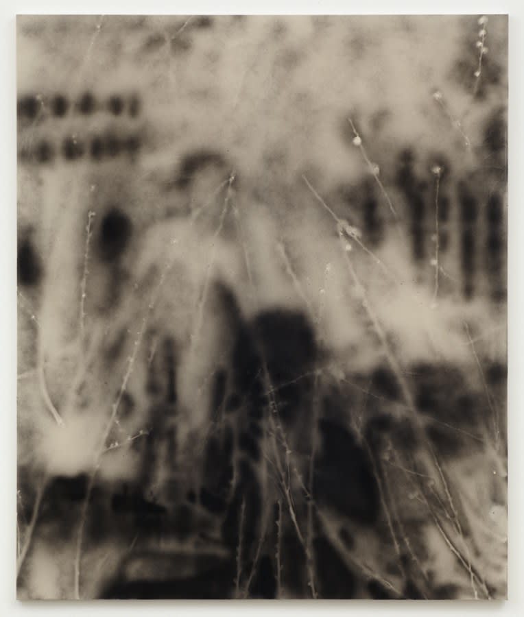 Phoebe Unwin, Distant Person, 2014