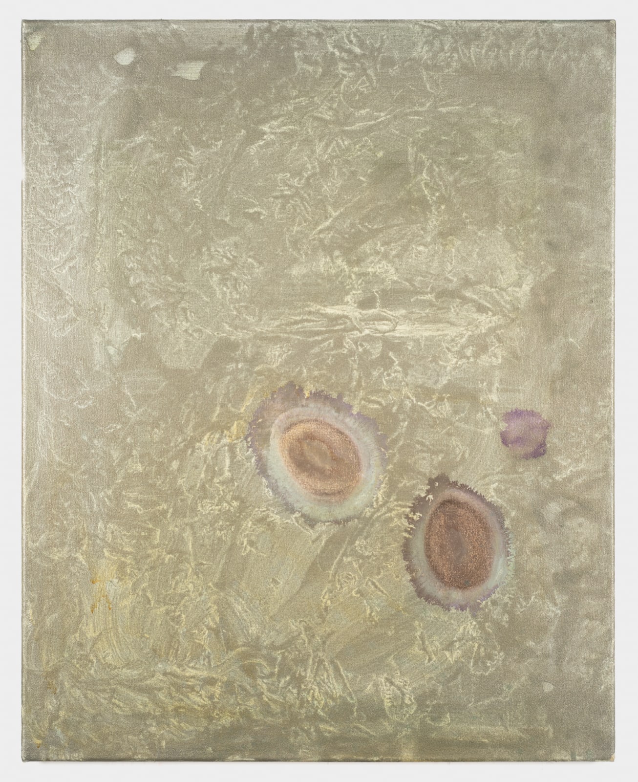 Phoebe Unwin, Lens, 2019